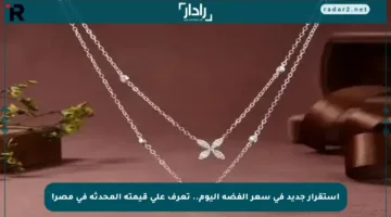 استقرار جديد في سعر الفضة اليوم.. تعرف على قيمته المحدثة في مصر!